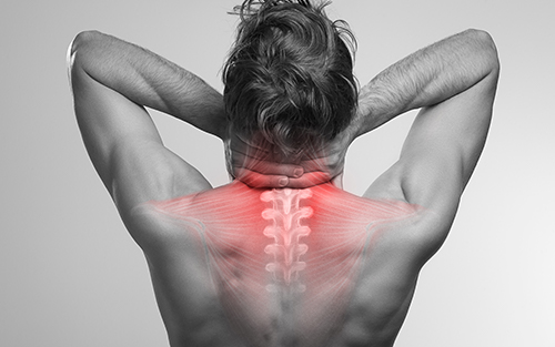 Muscle pain can occur anywhere in the body including the feet back elbows and neck